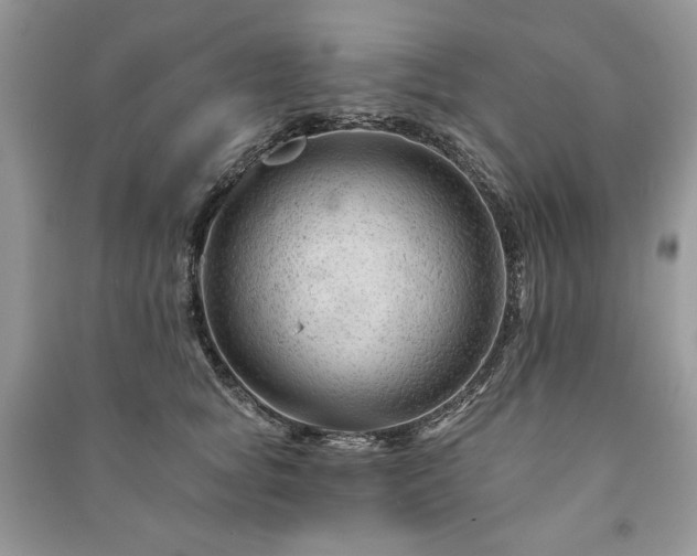 X0000090970757200708091436