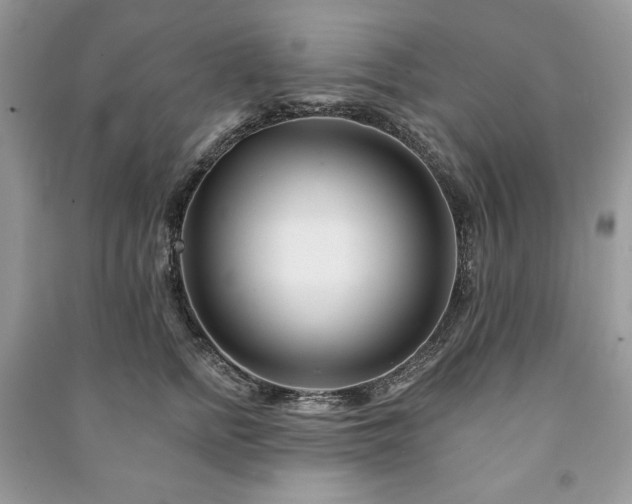 X0000090970758200708091436