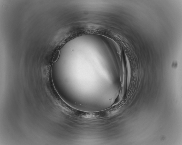 X0000090970759200708091436