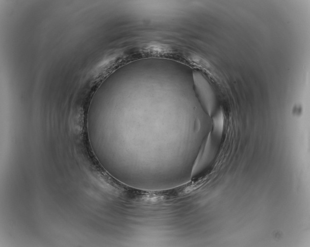 X0000090970760200708091436