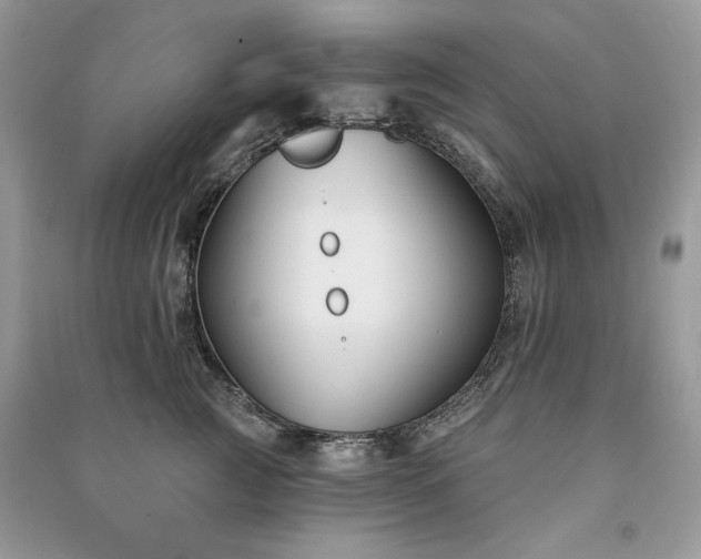 X0000090970761200708091436