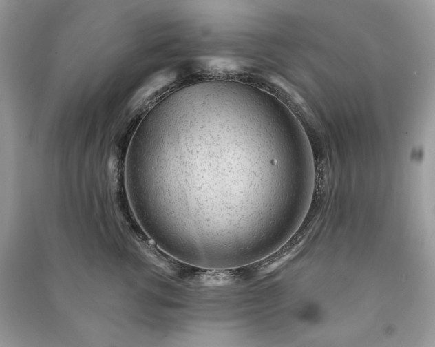 X0000090970762200708091436