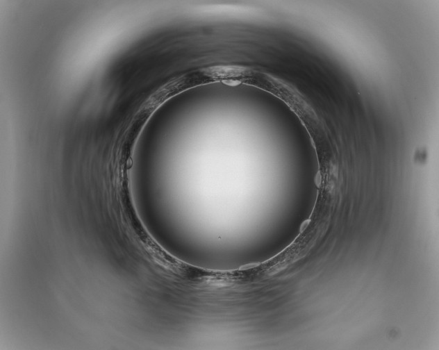 X0000090970763200708091436