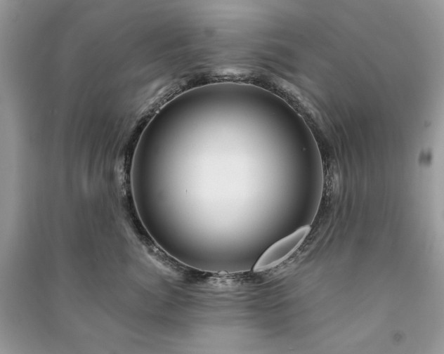 X0000090970764200708091436