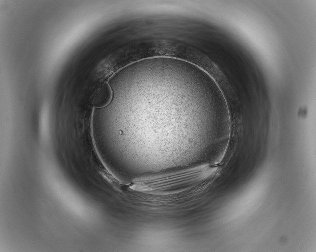 X0000090970765200708091436