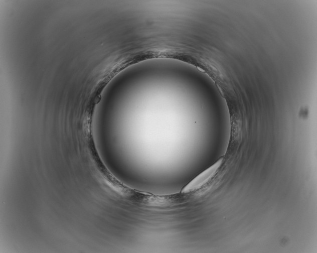 X0000090970766200708091436