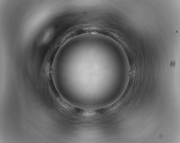 X0000090970767200708091436