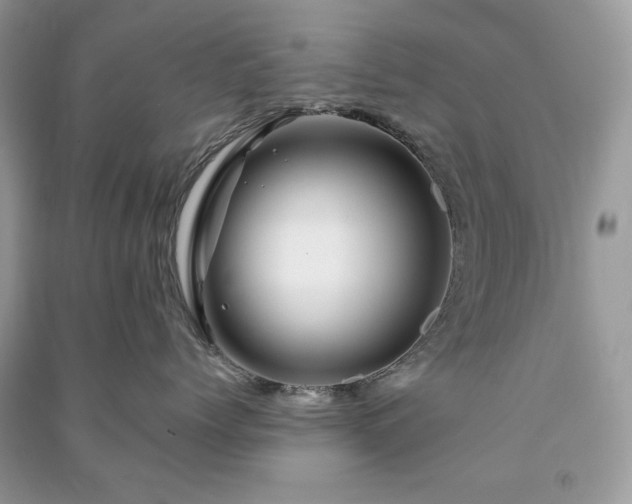 X0000090970768200708091436