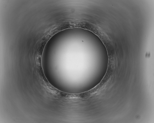 X0000090970770200708091435