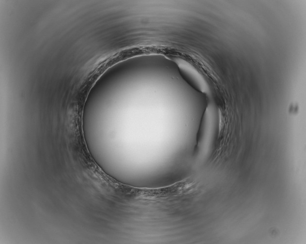 X0000090970773200708091435