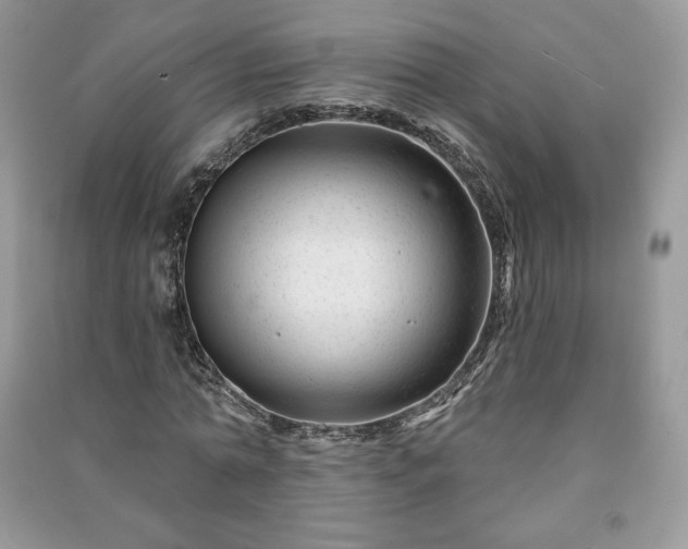 X0000090970774200708091435