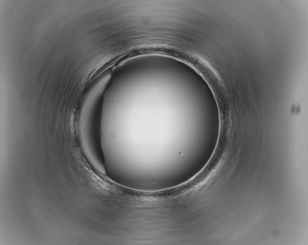 X0000090970777200708091435