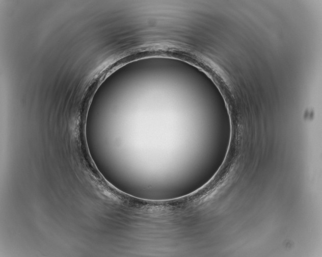 X0000090970778200708091435