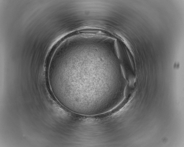 X0000090970779200708091435