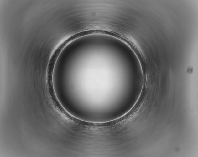 X0000090970780200708091435