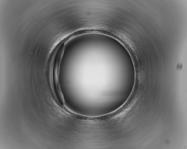 X0000090970781200708091435