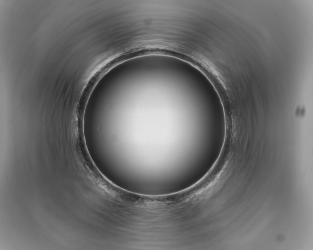 X0000090970782200708091435