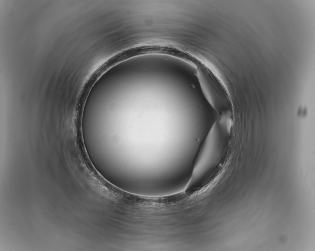 X0000090970783200708091435