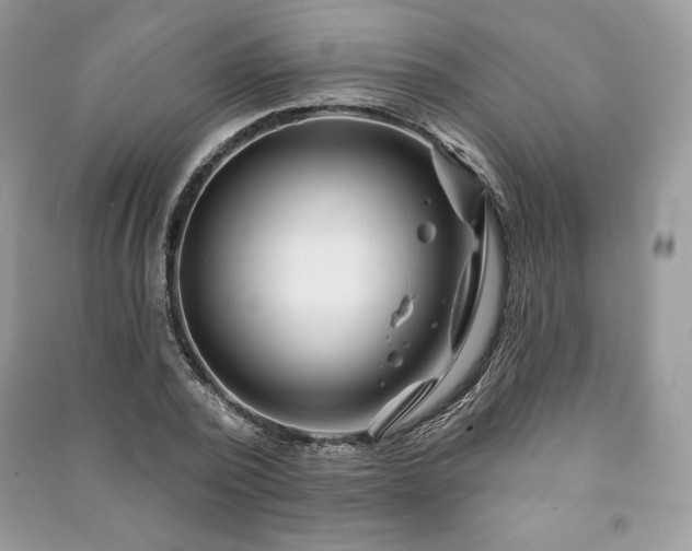 X0000090970784200708091435