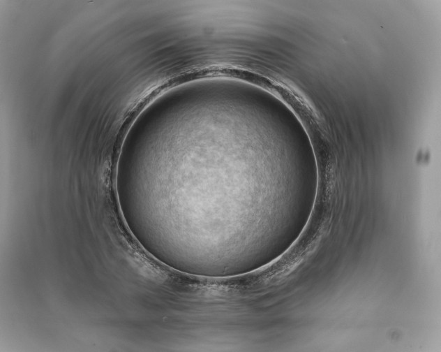 X0000090970785200708091435