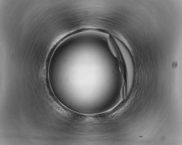 X0000090970787200708091435