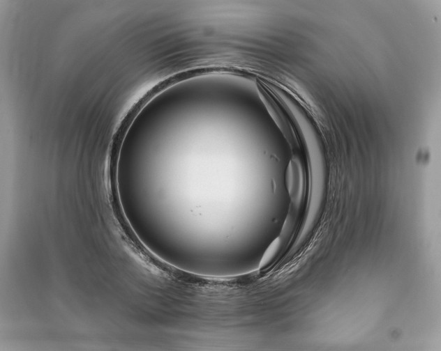 X0000090970788200708091435