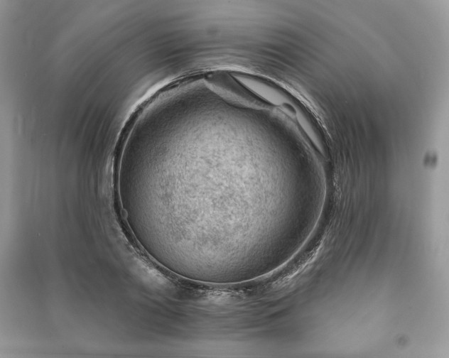 X0000090970790200708091435