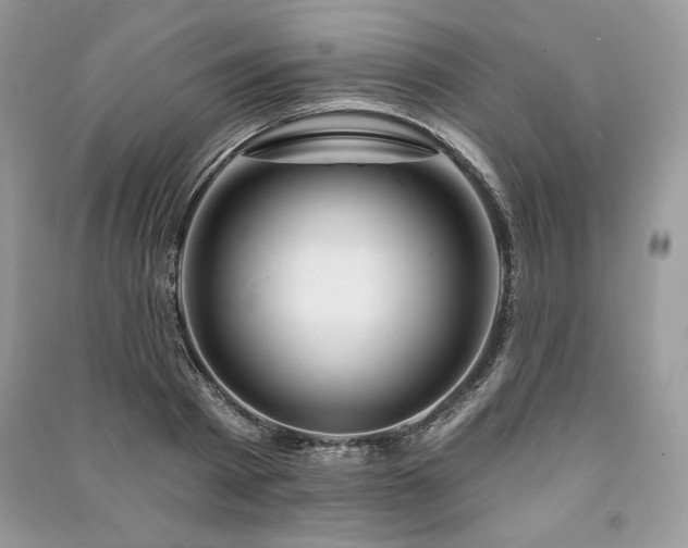 X0000090970793200708091435