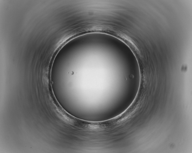 X0000090970794200708091435