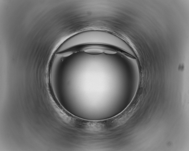 X0000090970795200708091435