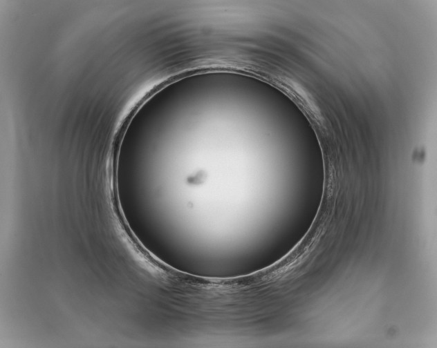 X0000090970796200708091435