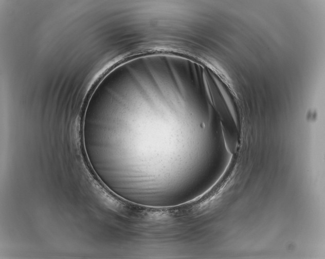 X0000090970798200708091435