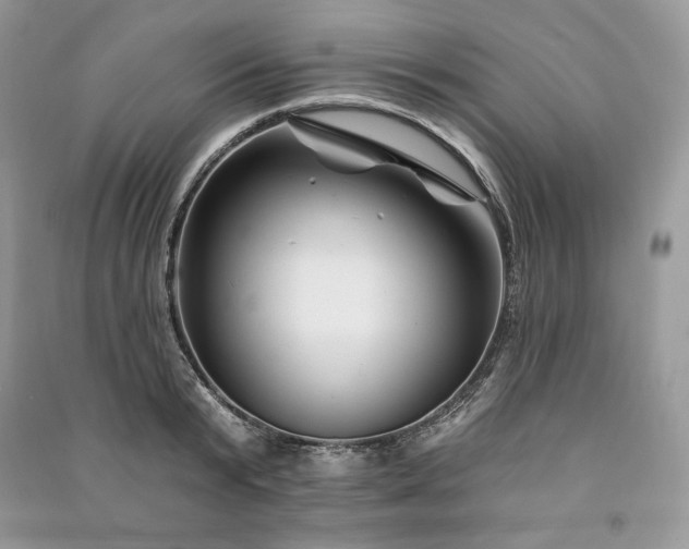 X0000090970799200708091435