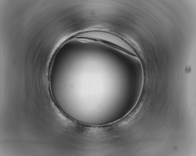 X0000090970800200708091435