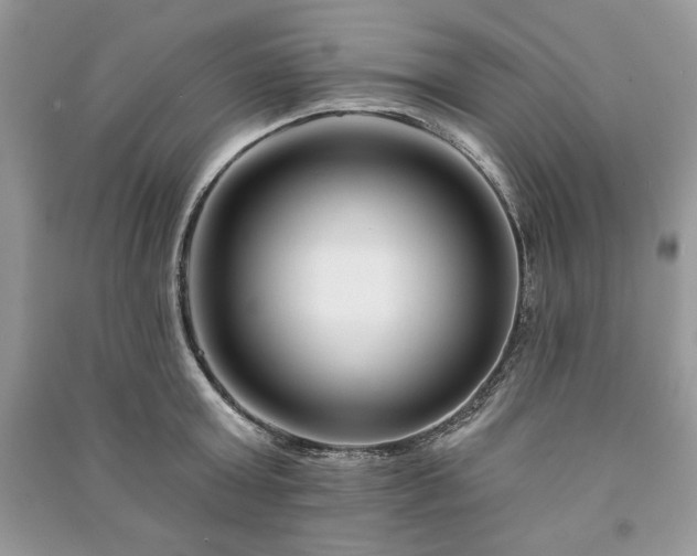 X0000090970803200708091435