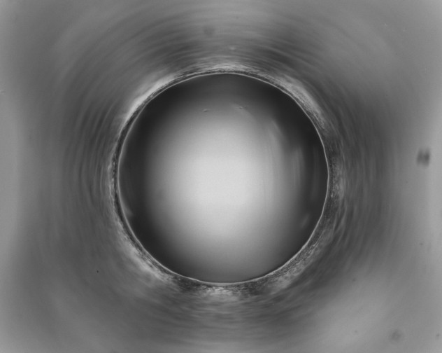 X0000090970806200708091435