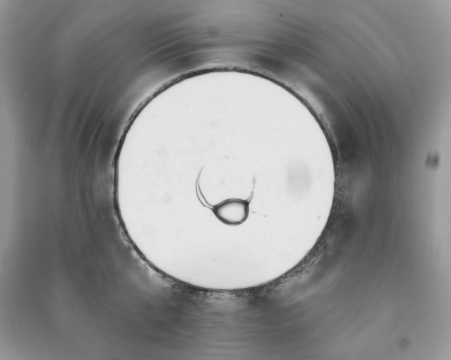 X0000090970807200708091435