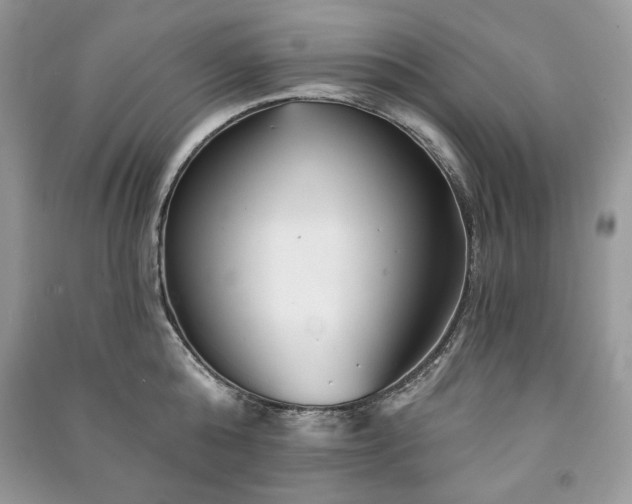 X0000090970808200708091434