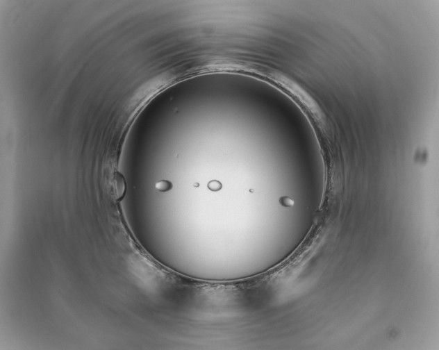 X0000090970809200708091434