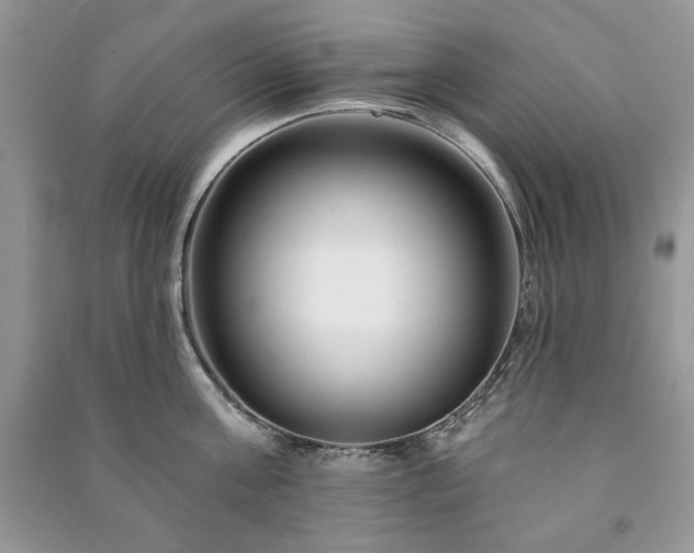 X0000090970811200708091434