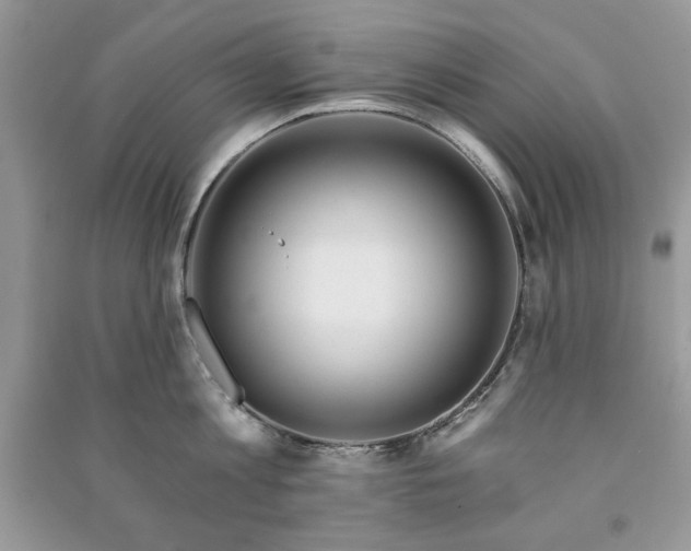 X0000090970813200708091434