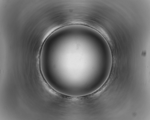 X0000090970814200708091434