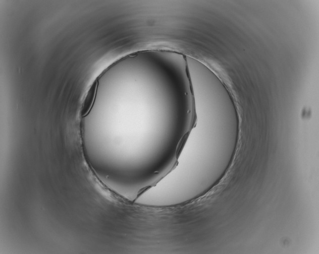 X0000090970816200708091434