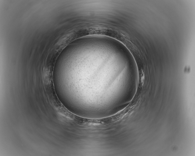 X0000090970819200708091434