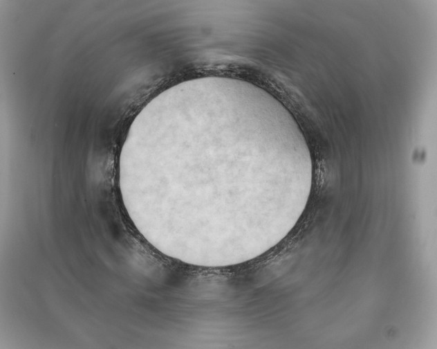 X0000090970820200708091434