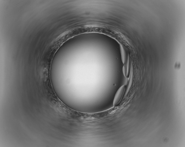 X0000090970821200708091434