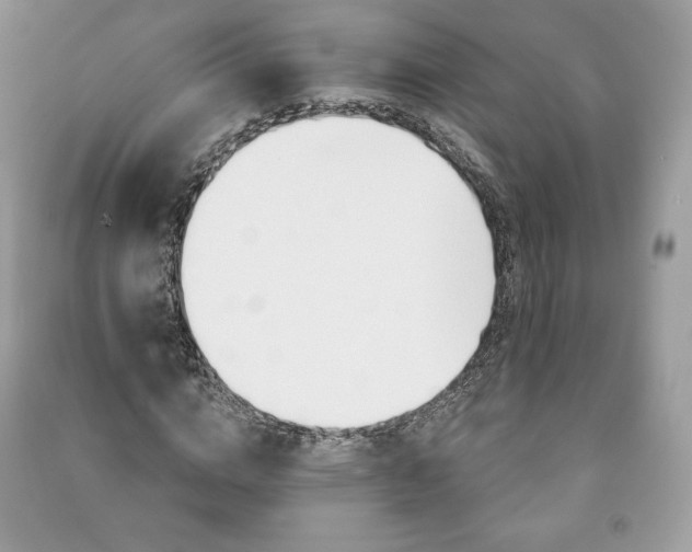 X0000090970824200708091434