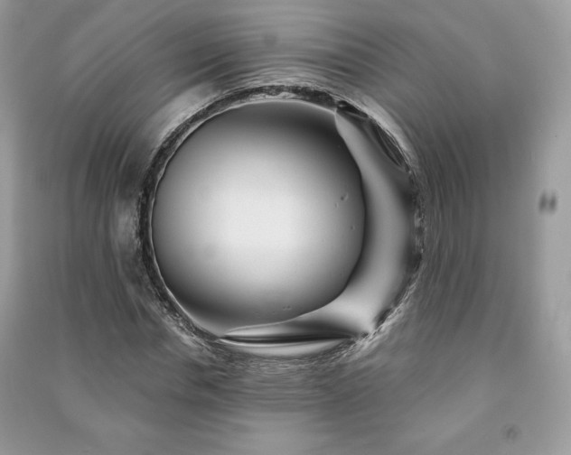 X0000090970826200708091434