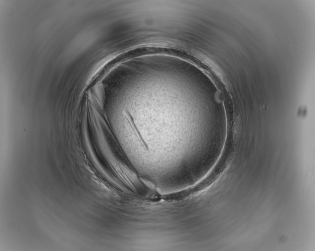 X0000090970829200708091434