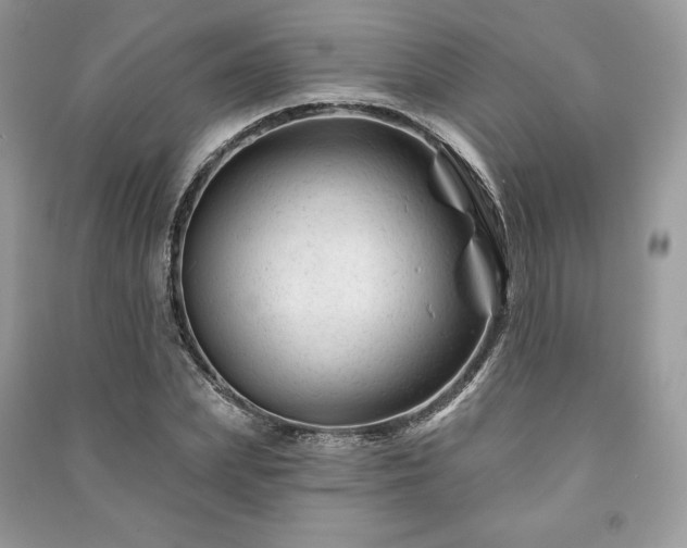 X0000090970831200708091434